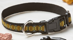 Skylight Pet Collar, Medium, 1"x12-20"